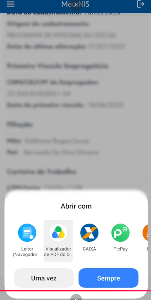 Abrir comprovante de PIS no celular