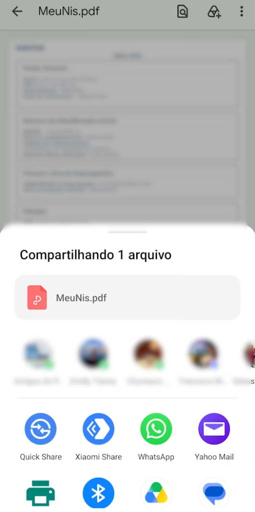 Opções para compartilhar comprovante de PIS